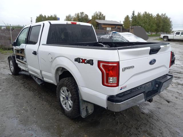 Photo 2 VIN: 1FTFW1EF9HKD03693 - FORD F150 XLT 