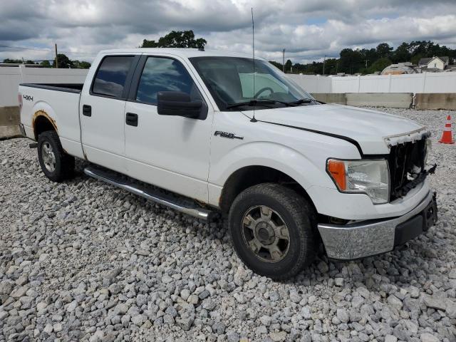 Photo 3 VIN: 1FTFW1EFXBFB34137 - FORD F150 SUPER 