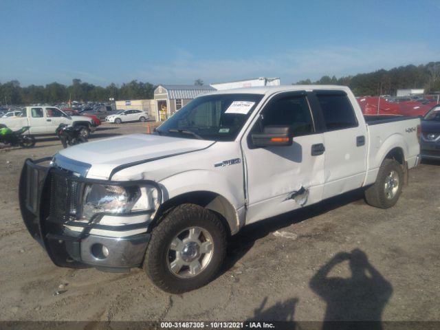 Photo 1 VIN: 1FTFW1EFXBFC14392 - FORD F-150 