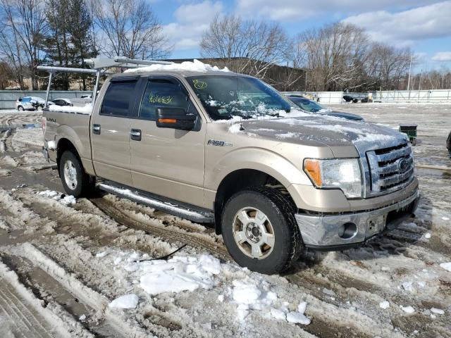 Photo 3 VIN: 1FTFW1EFXCFB75076 - FORD F150 SUPER 