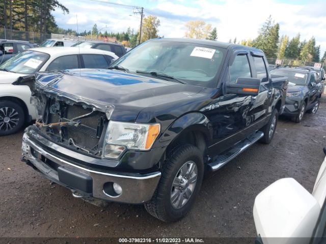 Photo 1 VIN: 1FTFW1EFXCFC57406 - FORD F-150 