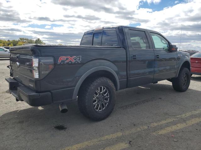 Photo 2 VIN: 1FTFW1EFXDFA25857 - FORD F150 SUPER 