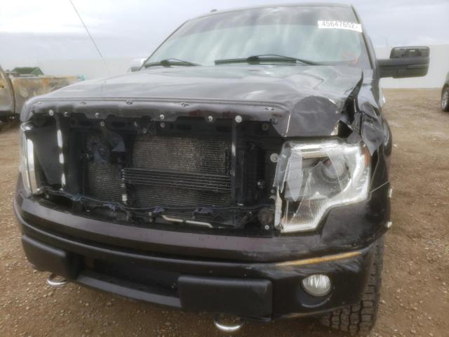 Photo 8 VIN: 1FTFW1EFXDFB60840 - FORD F150 SUPER 