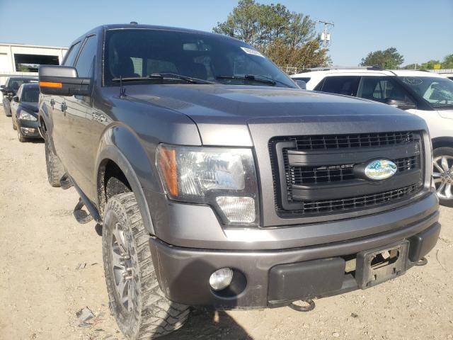 Photo 0 VIN: 1FTFW1EFXDFB64452 - FORD F150 SUPER 