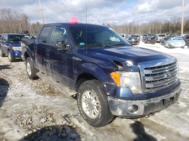 Photo 0 VIN: 1FTFW1EFXDFD29609 - FORD F150 SUPER 