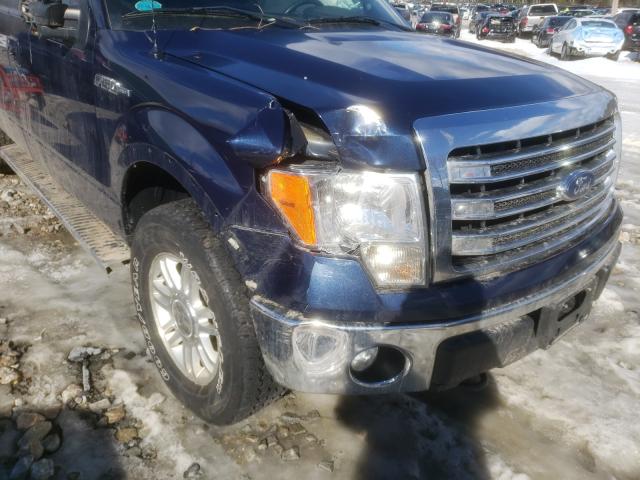 Photo 8 VIN: 1FTFW1EFXDFD29609 - FORD F150 SUPER 