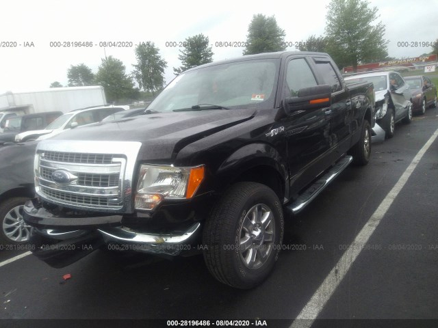 Photo 1 VIN: 1FTFW1EFXDFD29979 - FORD F-150 