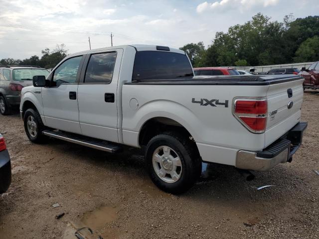 Photo 1 VIN: 1FTFW1EFXDKD09643 - FORD F150 SUPER 