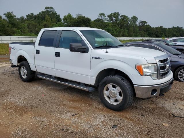 Photo 3 VIN: 1FTFW1EFXDKD09643 - FORD F150 SUPER 