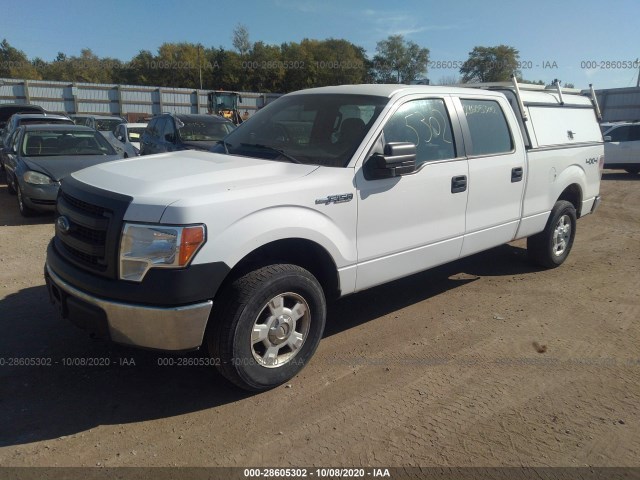 Photo 1 VIN: 1FTFW1EFXDKD30833 - FORD F-150 