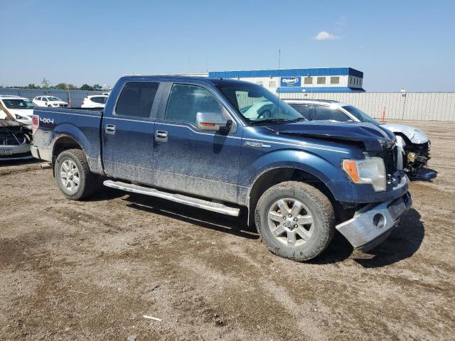 Photo 3 VIN: 1FTFW1EFXDKD42223 - FORD F-150 