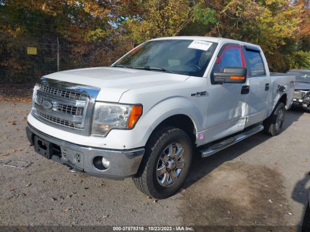 Photo 1 VIN: 1FTFW1EFXDKG13703 - FORD F-150 