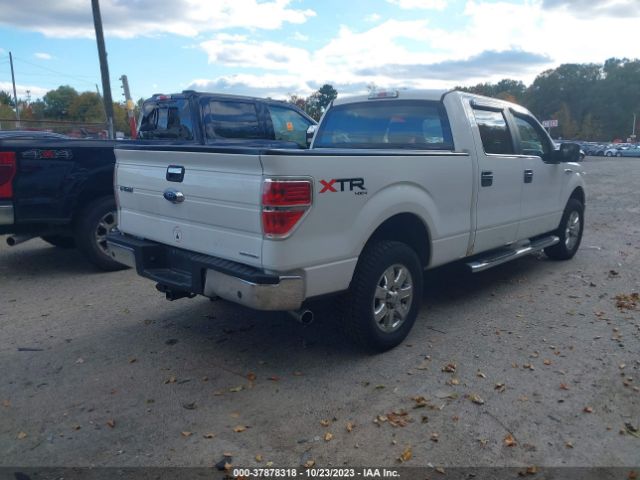 Photo 3 VIN: 1FTFW1EFXDKG13703 - FORD F-150 