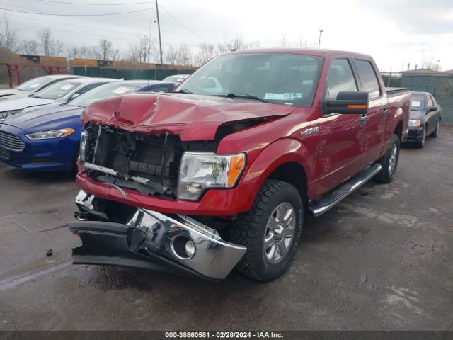 Photo 1 VIN: 1FTFW1EFXEFB08383 - FORD F150 SUPER 