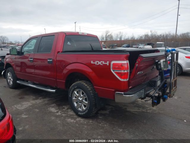 Photo 2 VIN: 1FTFW1EFXEFB08383 - FORD F150 SUPER 