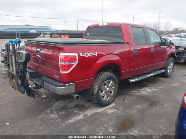 Photo 3 VIN: 1FTFW1EFXEFB08383 - FORD F150 SUPER 