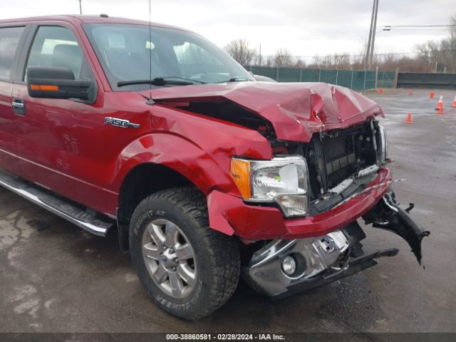 Photo 5 VIN: 1FTFW1EFXEFB08383 - FORD F150 SUPER 