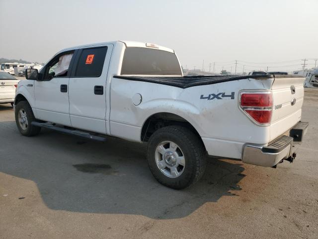 Photo 1 VIN: 1FTFW1EFXEFB19075 - FORD F-150 