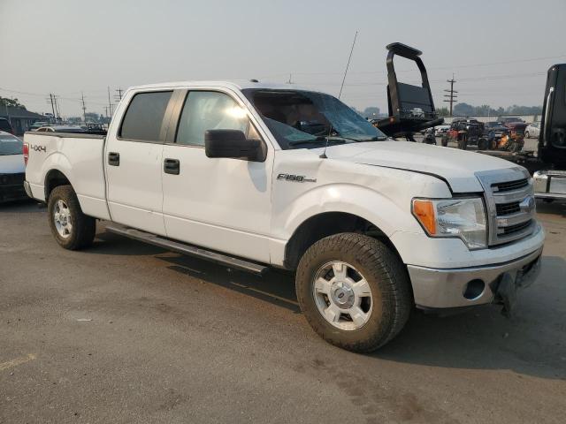 Photo 3 VIN: 1FTFW1EFXEFB19075 - FORD F-150 