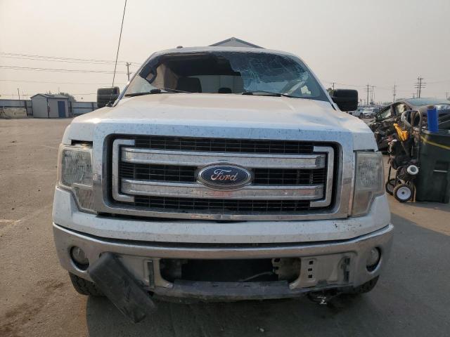 Photo 4 VIN: 1FTFW1EFXEFB19075 - FORD F-150 