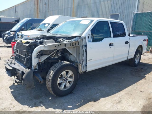 Photo 1 VIN: 1FTFW1EG0FFB50121 - FORD F-150 