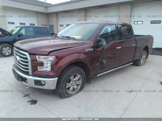 Photo 1 VIN: 1FTFW1EG3GFD24362 - FORD F-150 