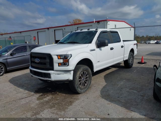 Photo 1 VIN: 1FTFW1EG7GKF06508 - FORD F-150 