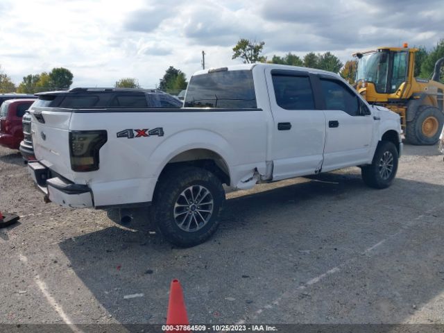 Photo 3 VIN: 1FTFW1EG7GKF06508 - FORD F-150 