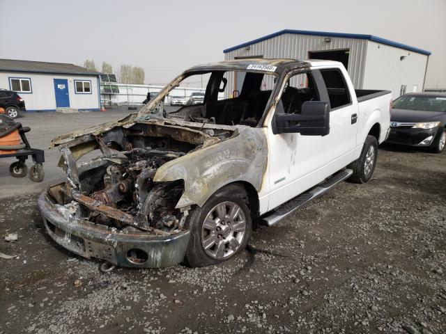 Photo 1 VIN: 1FTFW1ET0BFC24290 - FORD F150 SUPER 