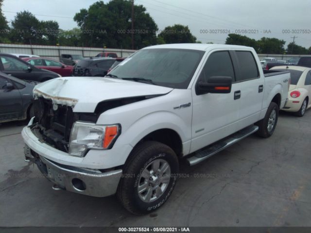 Photo 1 VIN: 1FTFW1ET0BFC38416 - FORD F-150 