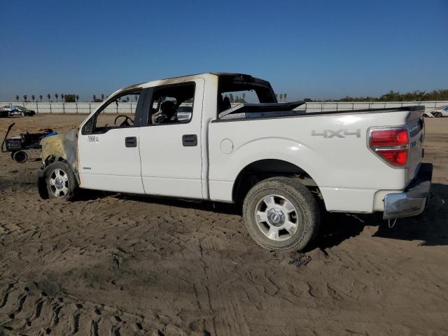 Photo 1 VIN: 1FTFW1ET0CKD18176 - FORD F150 SUPER 