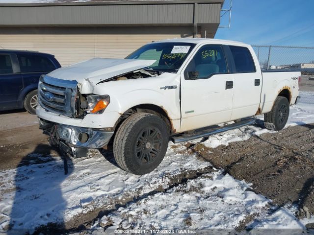 Photo 1 VIN: 1FTFW1ET0CKD52862 - FORD F-150 