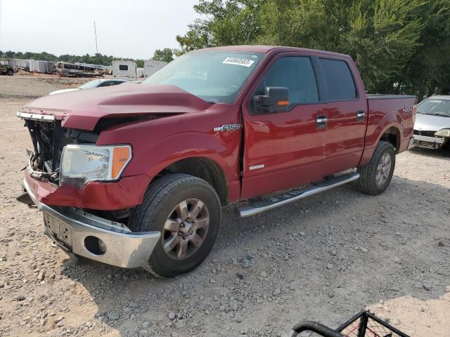 Photo 0 VIN: 1FTFW1ET0DKE05965 - FORD F150 SUPER 