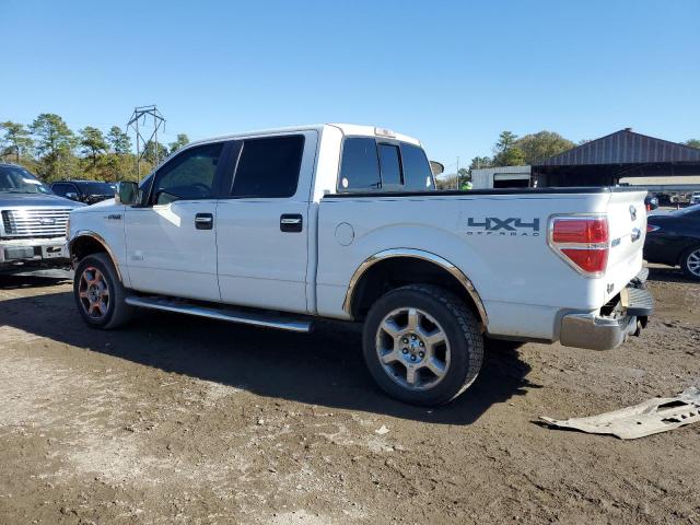 Photo 1 VIN: 1FTFW1ET0DKF09503 - FORD F-150 