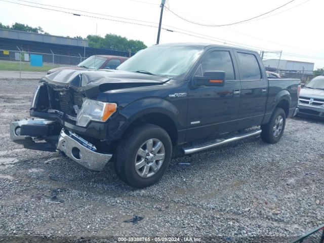 Photo 1 VIN: 1FTFW1ET0DKG44903 - FORD F-150 