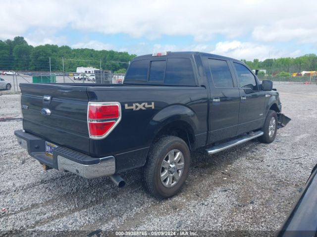 Photo 3 VIN: 1FTFW1ET0DKG44903 - FORD F-150 