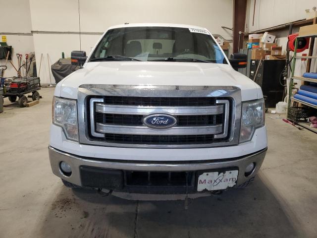 Photo 4 VIN: 1FTFW1ET0EFA73469 - FORD F150 SUPER 