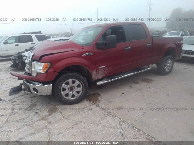 Photo 1 VIN: 1FTFW1ET0EKE88363 - FORD F-150 