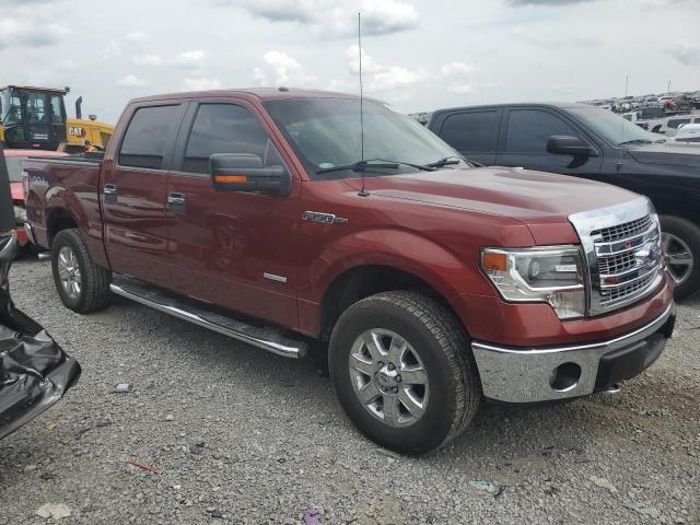 Photo 3 VIN: 1FTFW1ET0EKF52594 - FORD F-150 