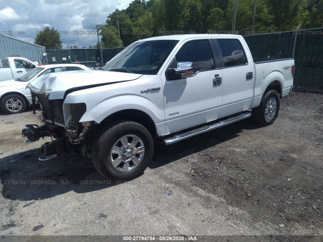 Photo 1 VIN: 1FTFW1ET1BFB55674 - FORD F-150 