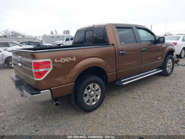 Photo 3 VIN: 1FTFW1ET1CFA38405 - FORD F-150 