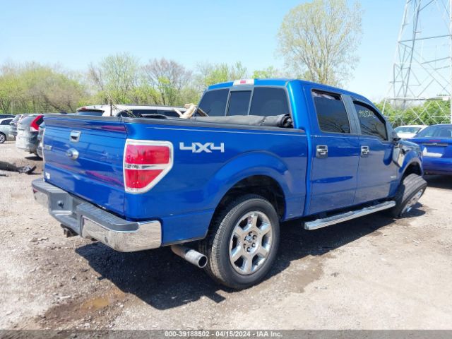 Photo 3 VIN: 1FTFW1ET1DFD38205 - FORD F150 