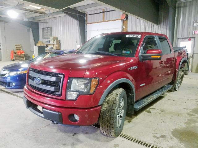 Photo 1 VIN: 1FTFW1ET1DFD54212 - FORD F150 SUPER 