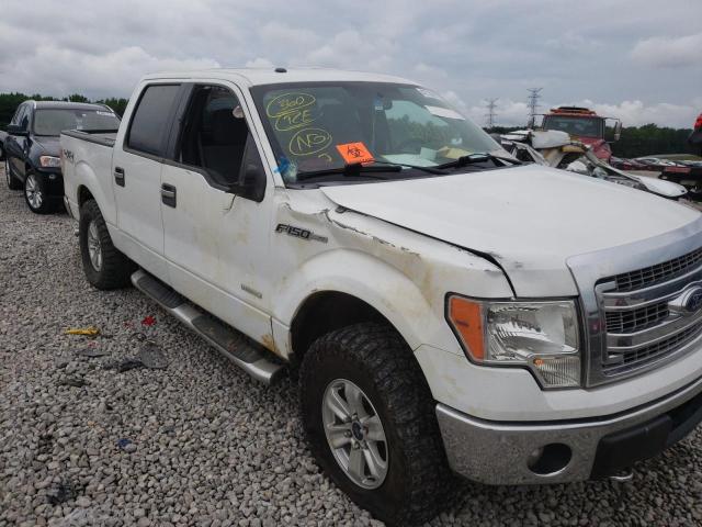 Photo 8 VIN: 1FTFW1ET1DKD67825 - FORD F150 SUPER 