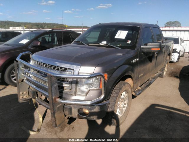 Photo 1 VIN: 1FTFW1ET1DKE55824 - FORD F-150 