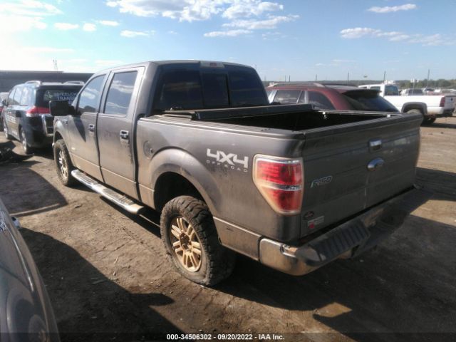 Photo 2 VIN: 1FTFW1ET1DKE55824 - FORD F-150 