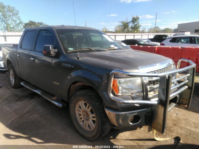 Photo 5 VIN: 1FTFW1ET1DKE55824 - FORD F-150 