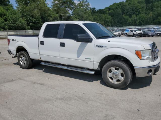 Photo 3 VIN: 1FTFW1ET1EFA72122 - FORD F150 SUPER 