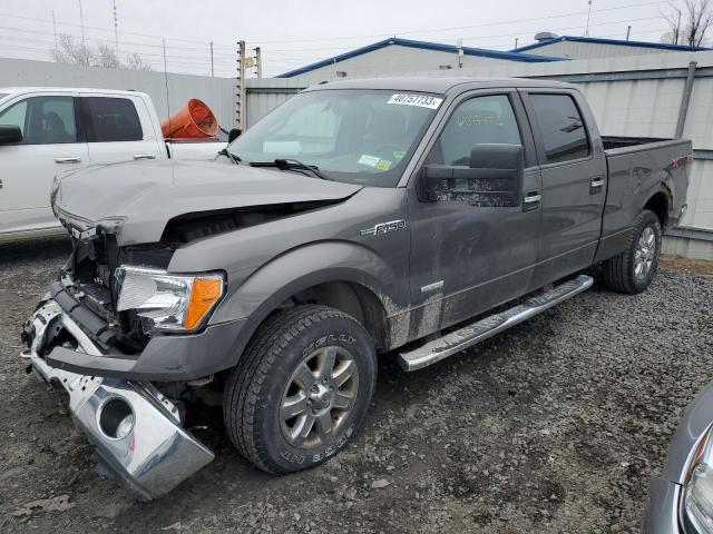 Photo 0 VIN: 1FTFW1ET1EFA87462 - FORD F150 SUPER 