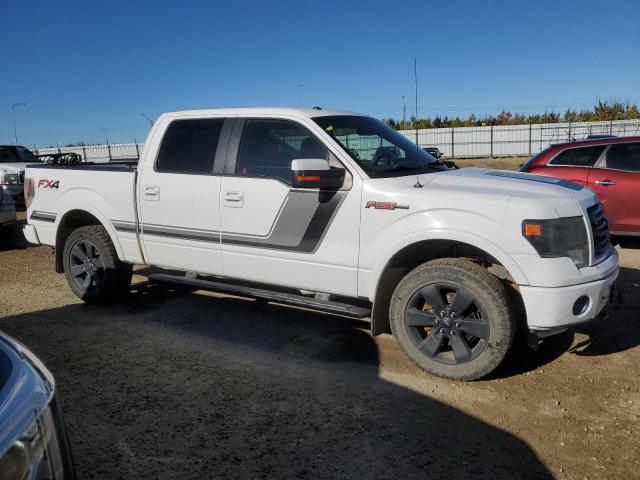 Photo 3 VIN: 1FTFW1ET1EFB04843 - FORD F150 SUPER 